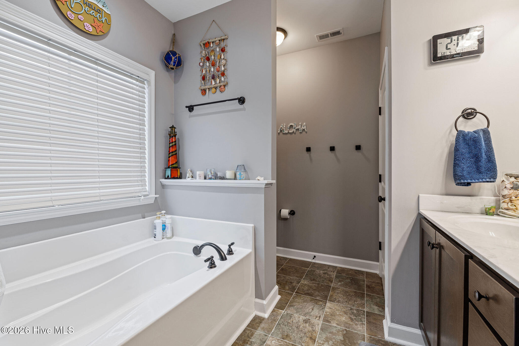 215 Rustic Field Drive Goldsboro, NC 27530 - Photo 11 of 27 Primary Bath with Tub