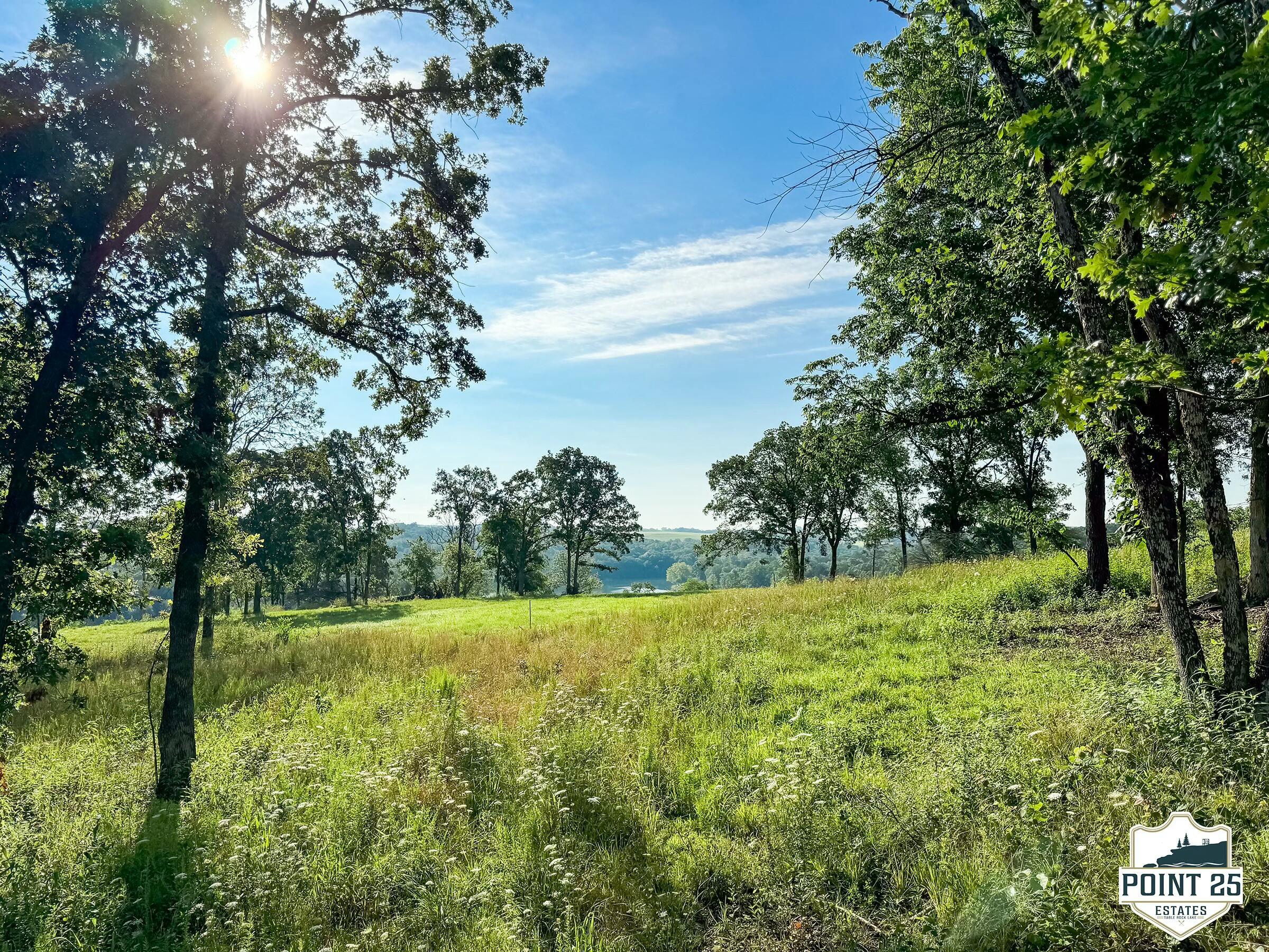 Lot 40 Boulder Ridge Eagle Rock, MO 65641 - Photo 5 of 11 tempImage2yYqiA