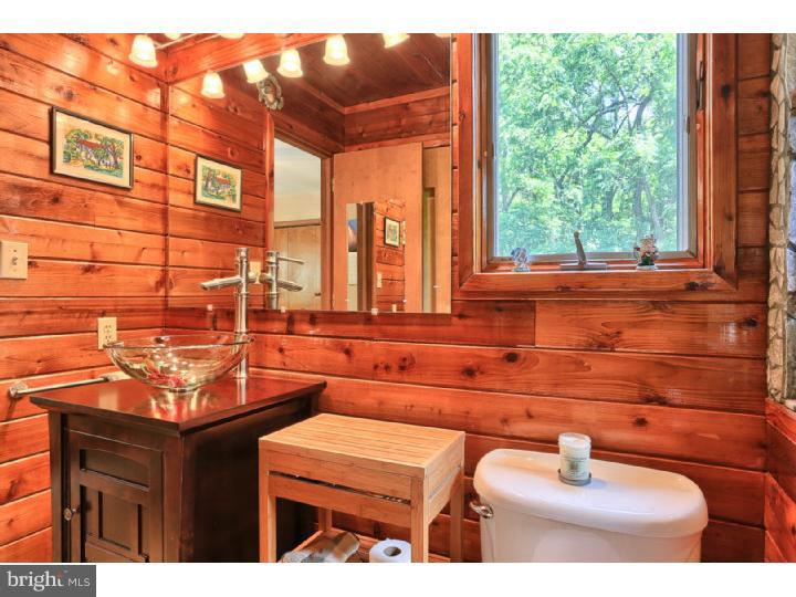 117 Mail Rte Road Sinking Spring, PA 19608 - Photo 14 of 25 Bathroom
