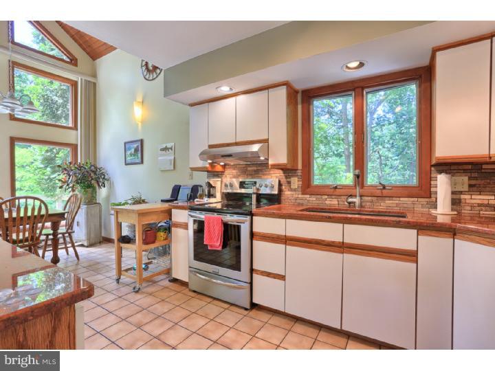 117 Mail Rte Road Sinking Spring, PA 19608 - Photo 5 of 25 Kitchen