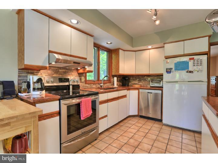 117 Mail Rte Road Sinking Spring, PA 19608 - Photo 6 of 25 Kitchen