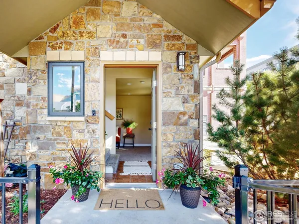 a potted plant sitting in front of a house