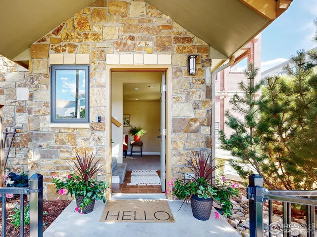 a potted plant sitting in front of a house