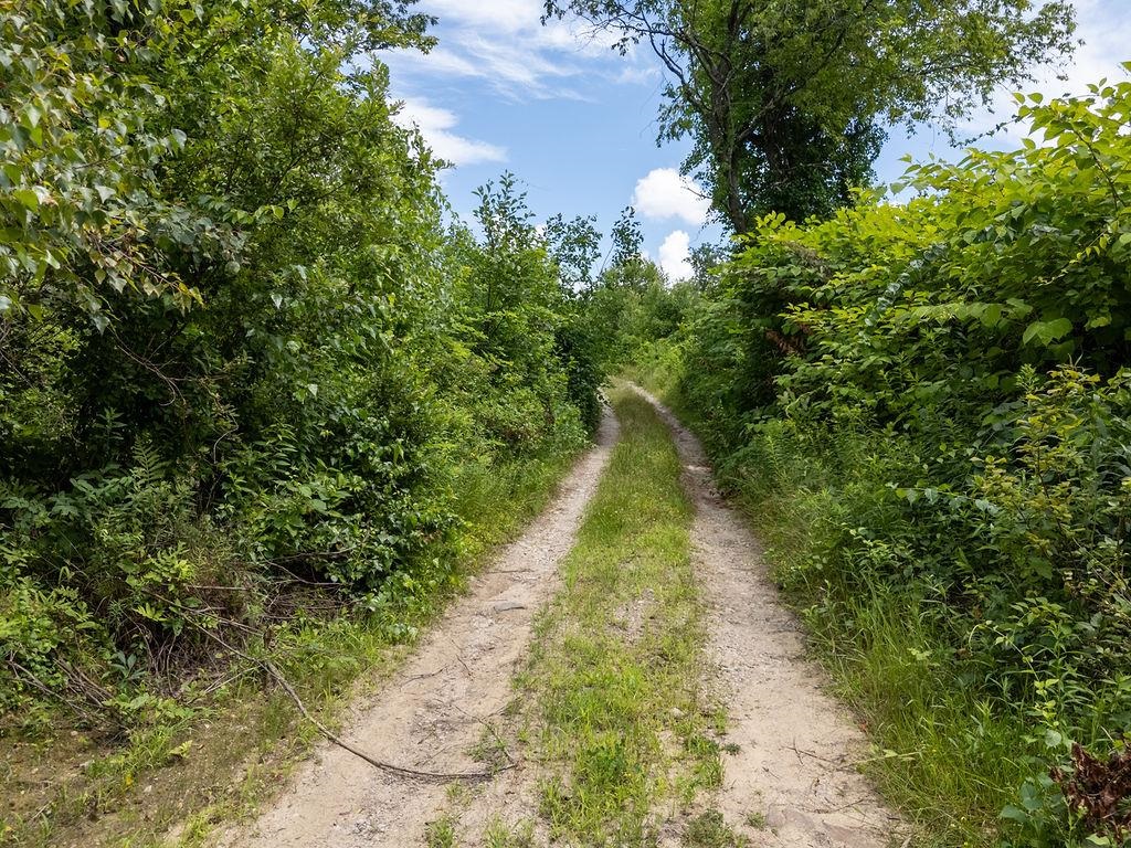 90C Old Bay Road, Unit C New Durham, NH 03855 - Photo 6 of 16