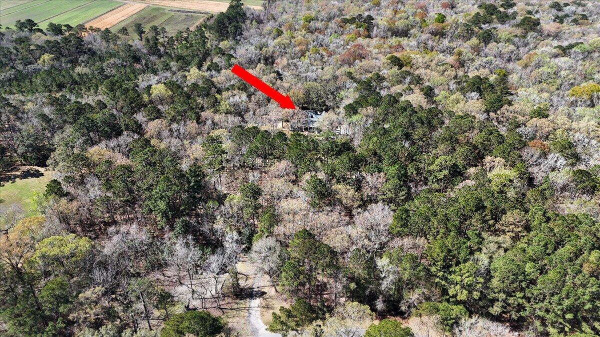 1901 Longcreek Road Wadmalaw Island, SC 29487 - Photo 93 of 100 090-1901Longcreek_090