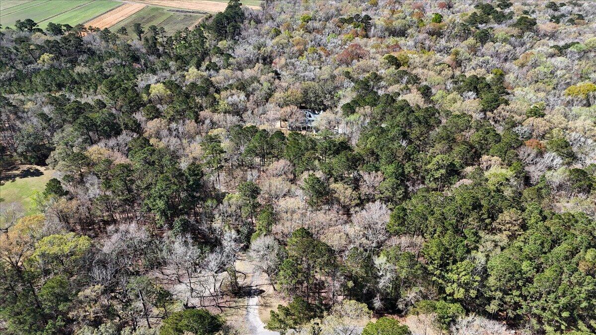 1901 Longcreek Road Wadmalaw Island, SC 29487 - Photo 94 of 100 091-1901Longcreek_091
