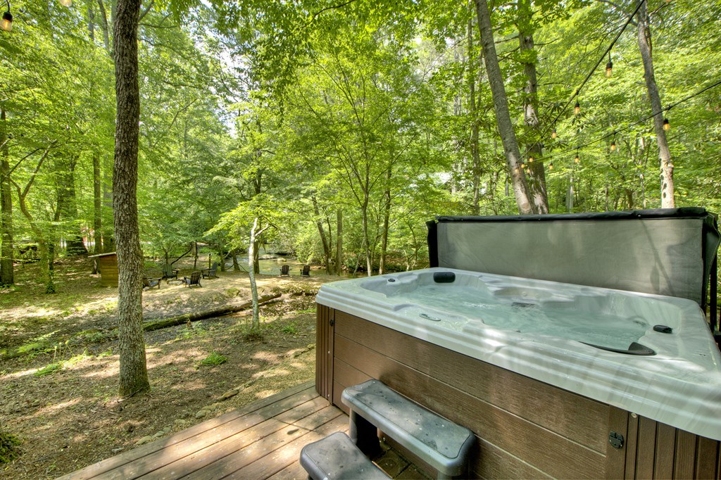 251 Rockhouse Road Cherry Log, GA 30522 - Photo 27 of 38