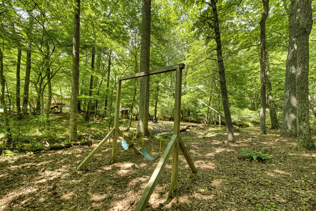 251 Rockhouse Road Cherry Log, GA 30522 - Photo 28 of 38