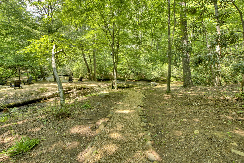 251 Rockhouse Road Cherry Log, GA 30522 - Photo 29 of 38