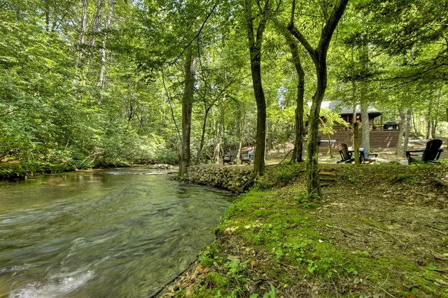 a view of lake background and tree