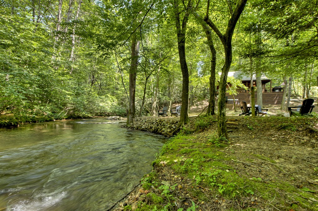 251 Rockhouse Road Cherry Log, GA 30522 - Photo 34 of 38