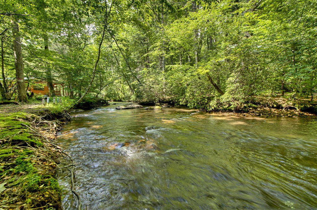 251 Rockhouse Road Cherry Log, GA 30522 - Photo 35 of 38