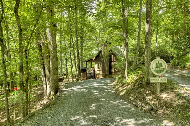 a view of a big yard