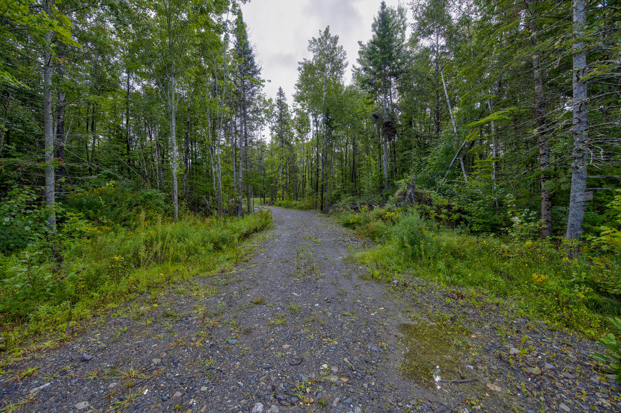 918 Old County Road Etna, ME 04434 - Photo 2 of 9 DSC_7030_1_2_3_4