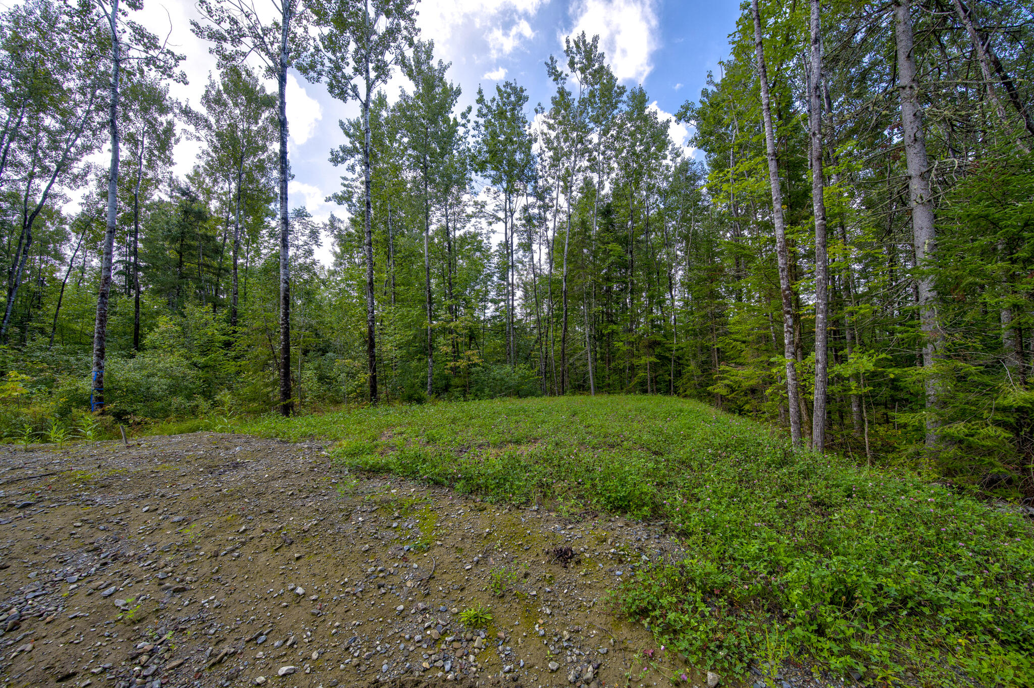 918 Old County Road Etna, ME 04434 - Photo 5 of 9 DSC_7020_1_2_3_4