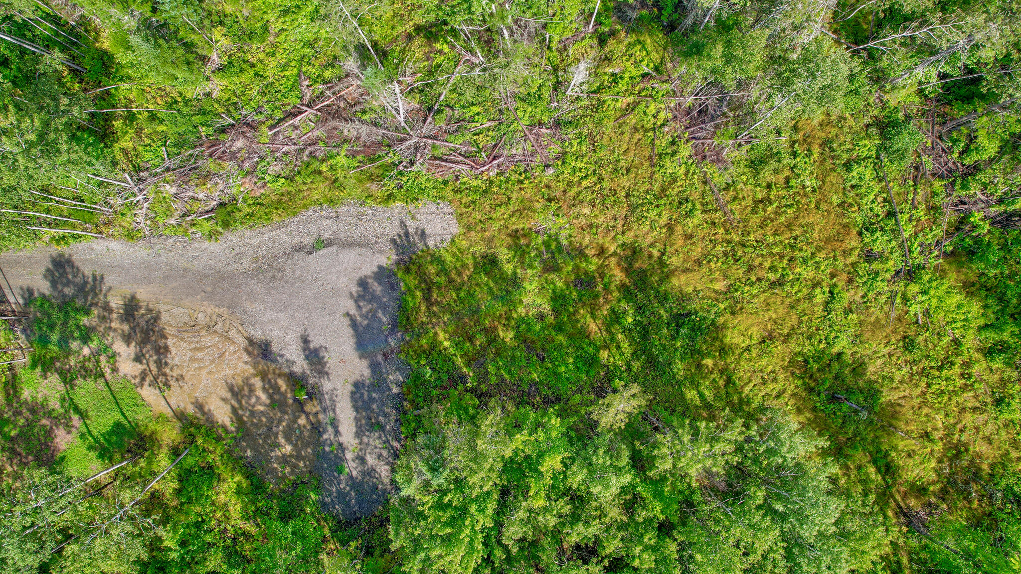 918 Old County Road Etna, ME 04434 - Photo 6 of 9 dji_fly_20240821_105152_745_172426270481