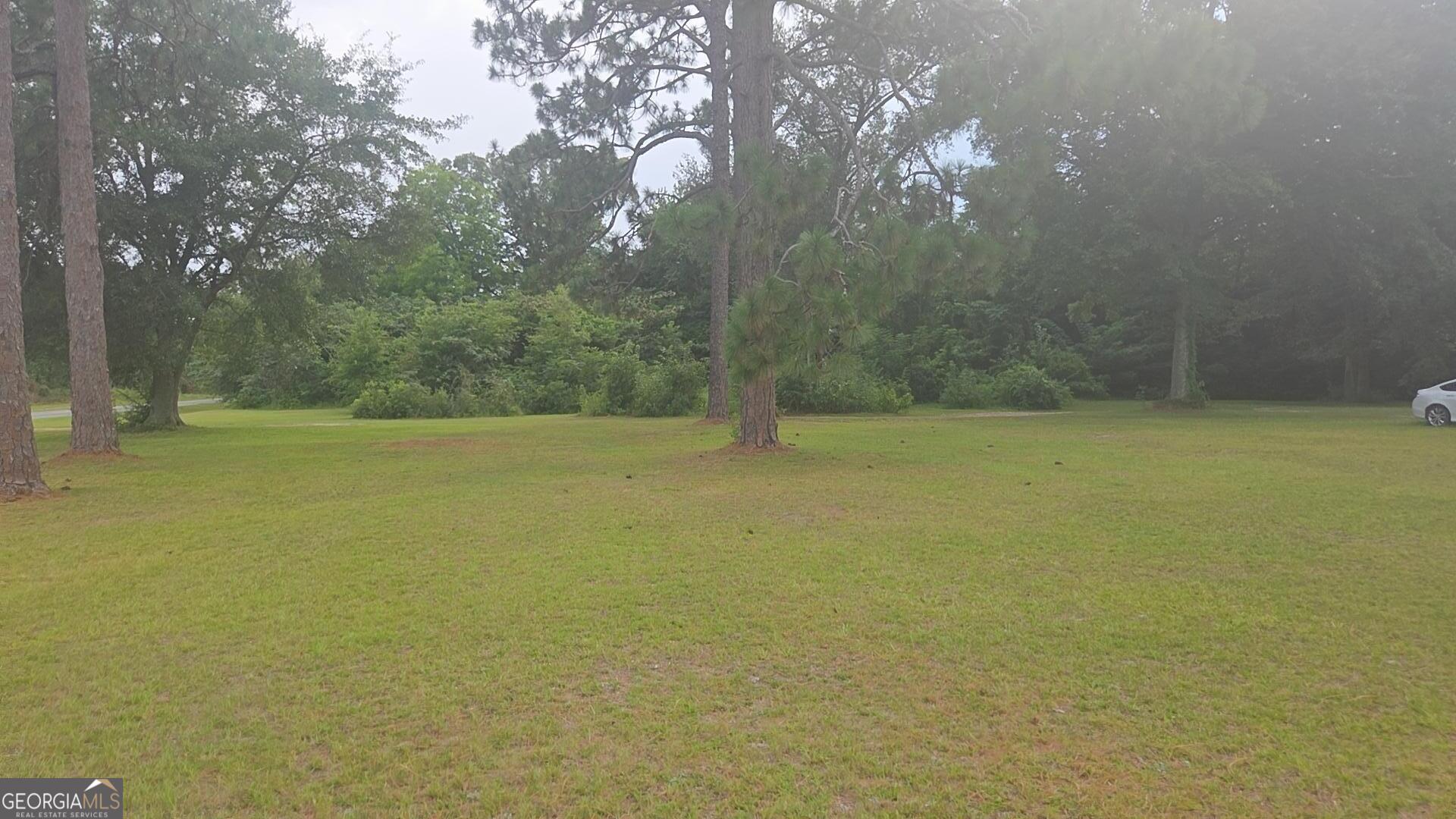 8468 Branchville Road Camilla, GA 31730 - Photo 21 of 22 a view of empty room with green space