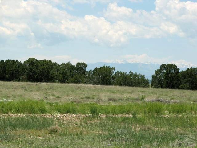 Lot 29 Turkey Ridge Road Walsenburg, CO 81089 - Photo 5 of 16