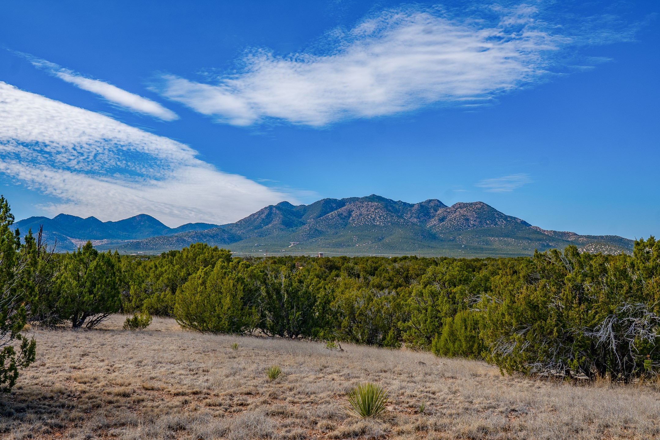 49-65 Blue Agave/grenfell Ranch Cerrillos, NM 87010 - Photo 14 of 36