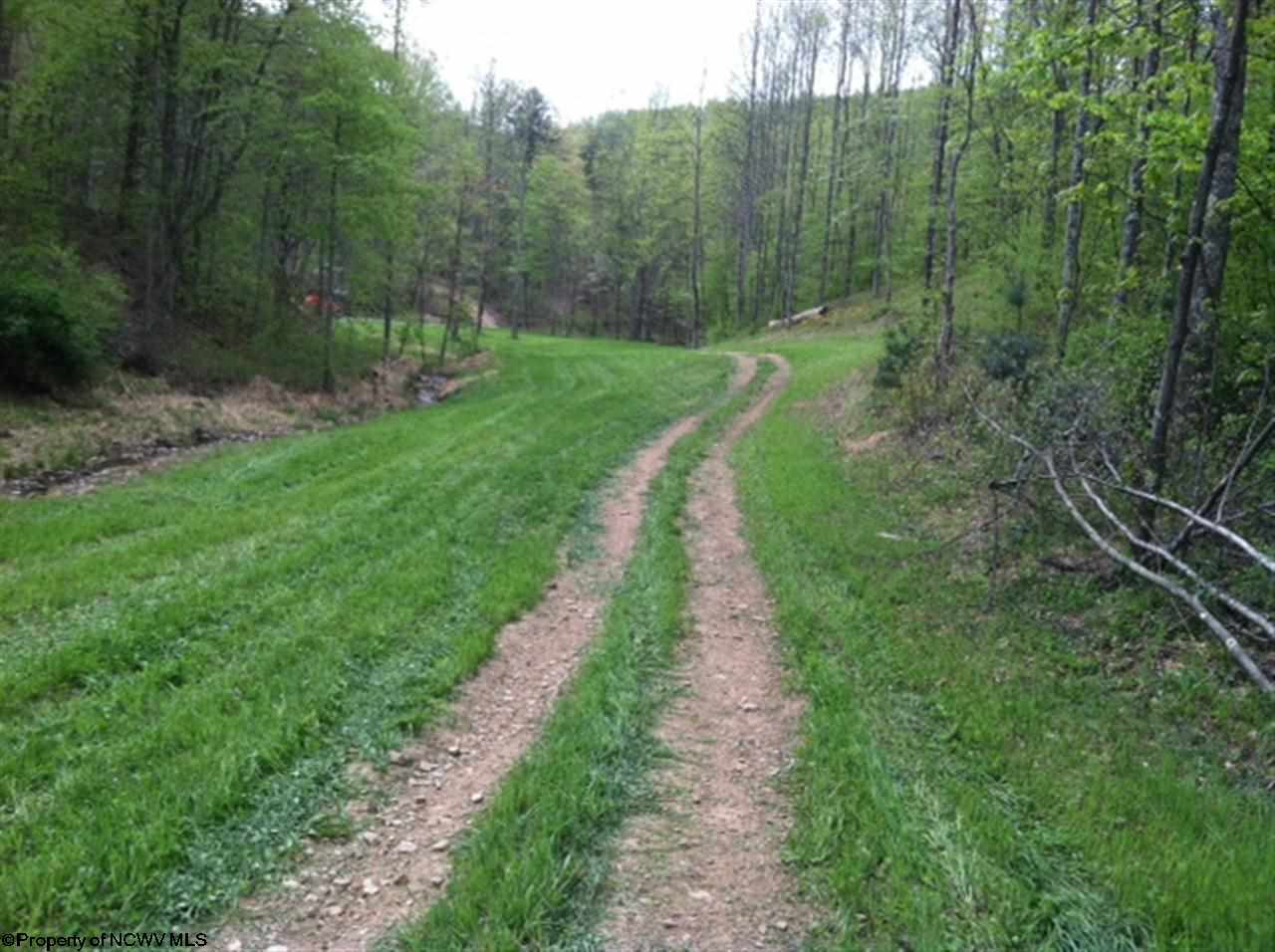 0 Falls Run Road Ireland, WV 26376 - Photo 6 of 13 Gallery Image 6
