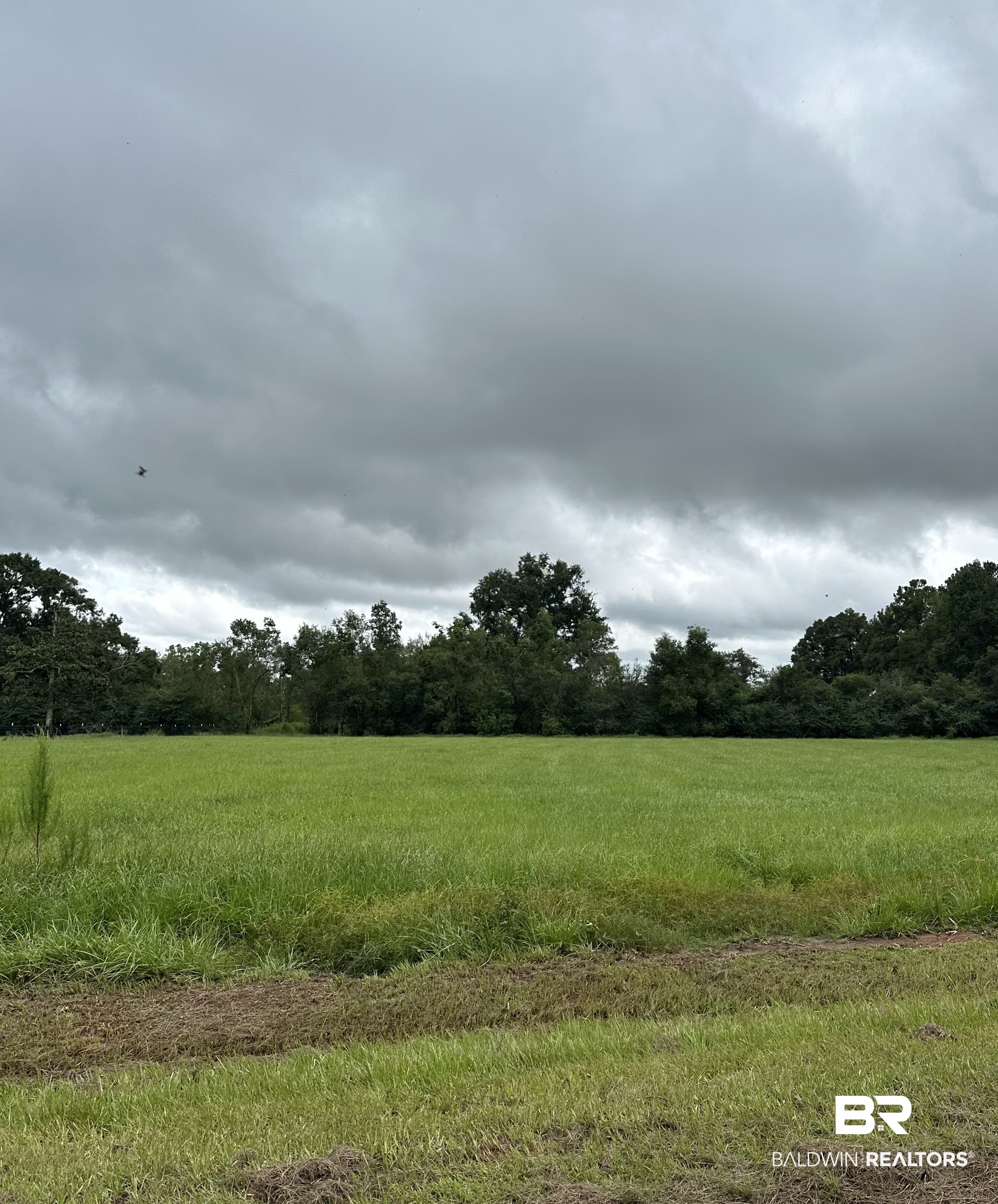 -oak Lane Oak Lane Stapleton, AL 36578 - Photo 1 of 2 Gallery Image 1