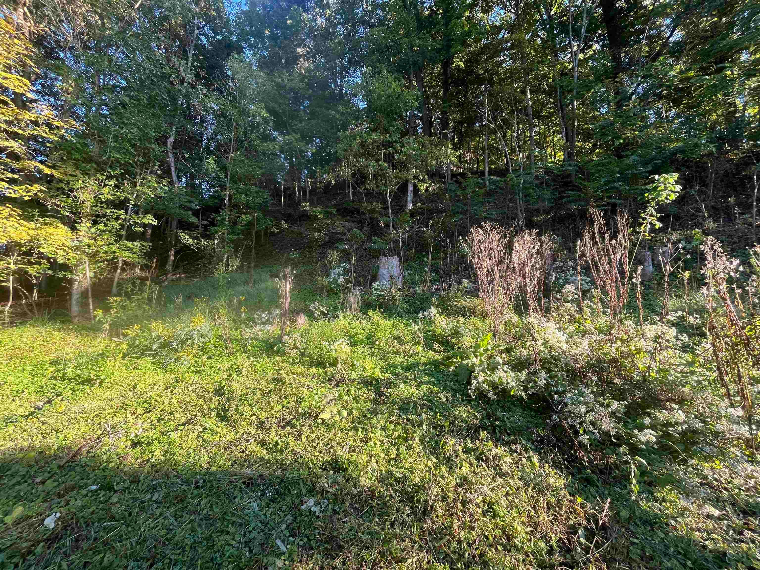 2437 Co Road South Point, OH 45680 - Photo 6 of 8 Gallery Image 6