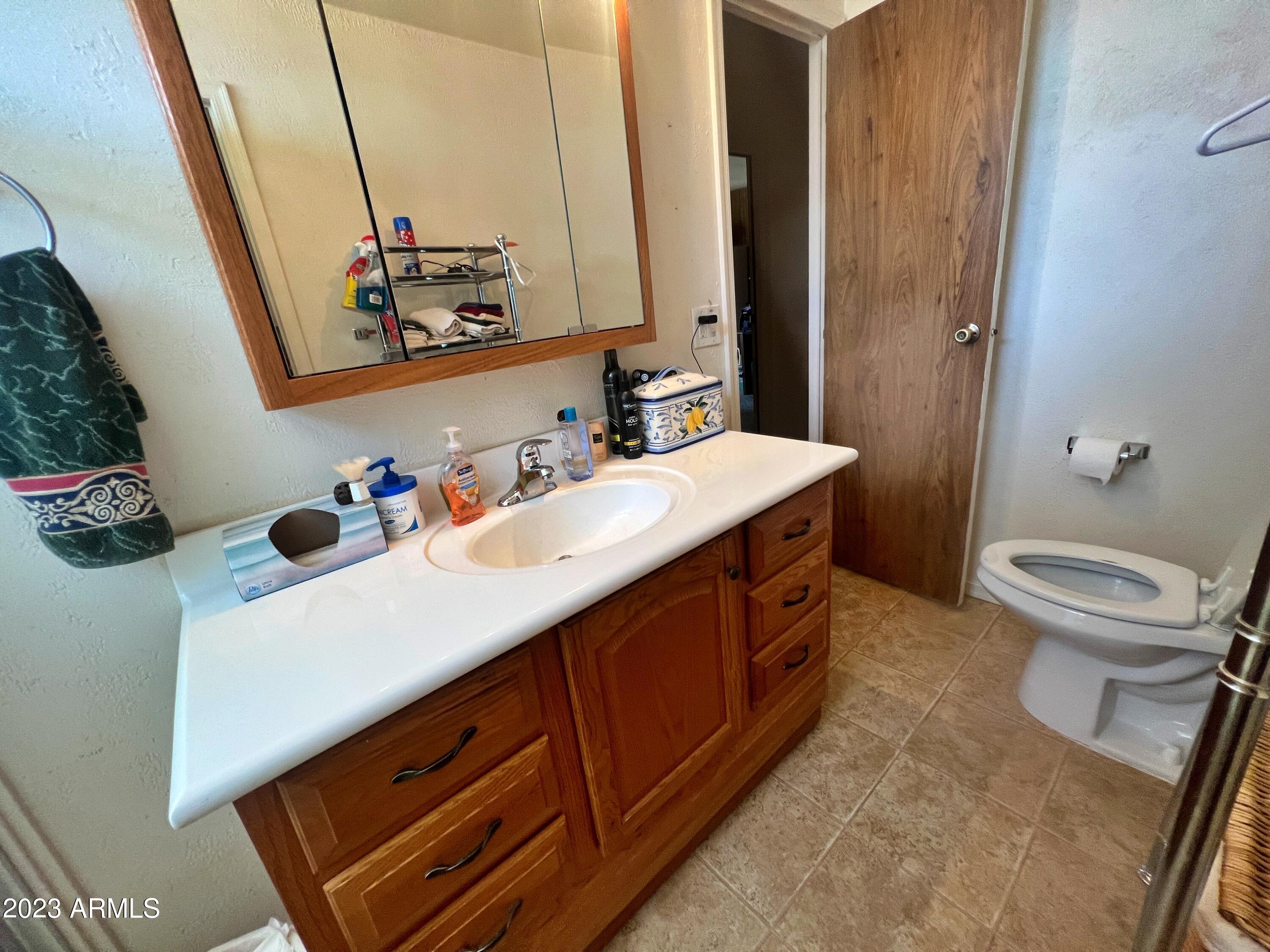 1531 West Ocotillo Road San Tan Valley, AZ 85140 - Photo 46 of 80 Bathroom #2 3