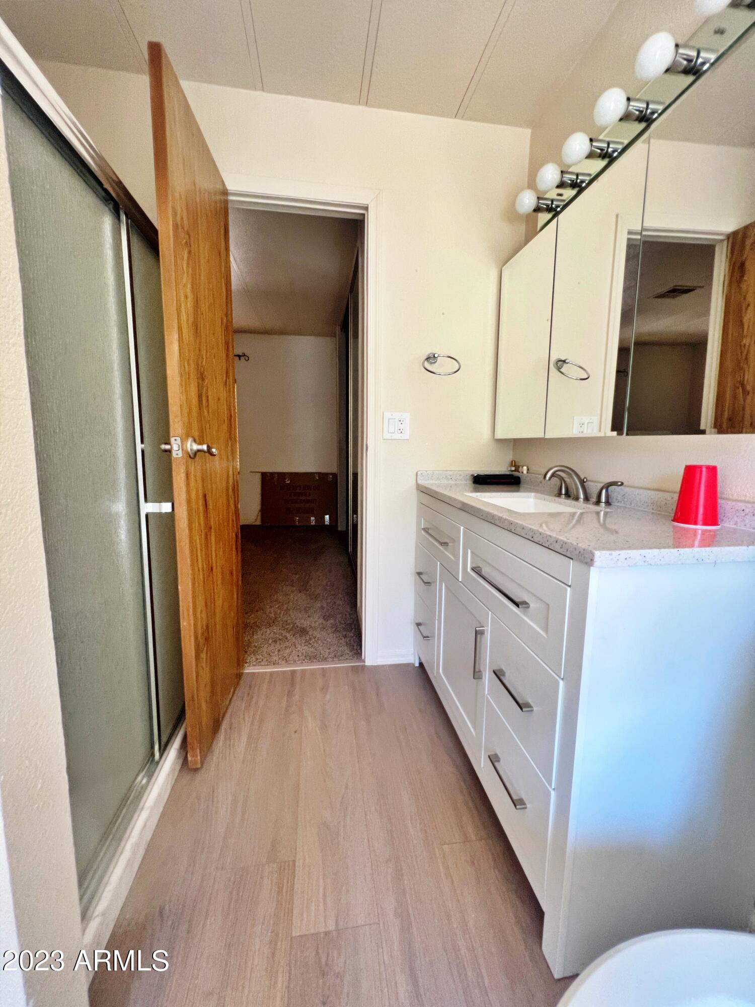 1531 West Ocotillo Road San Tan Valley, AZ 85140 - Photo 61 of 80 Master Bath 4