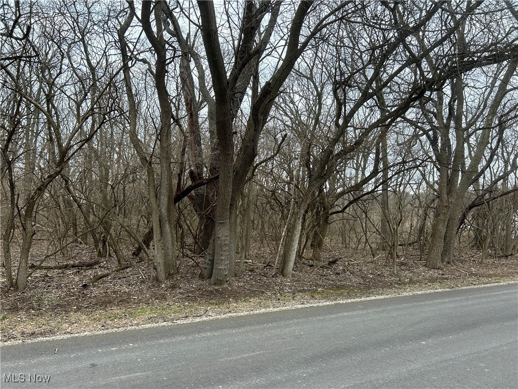 Put-in-bay Road Put In Bay, OH 43456 - Photo 1 of 5 View of road