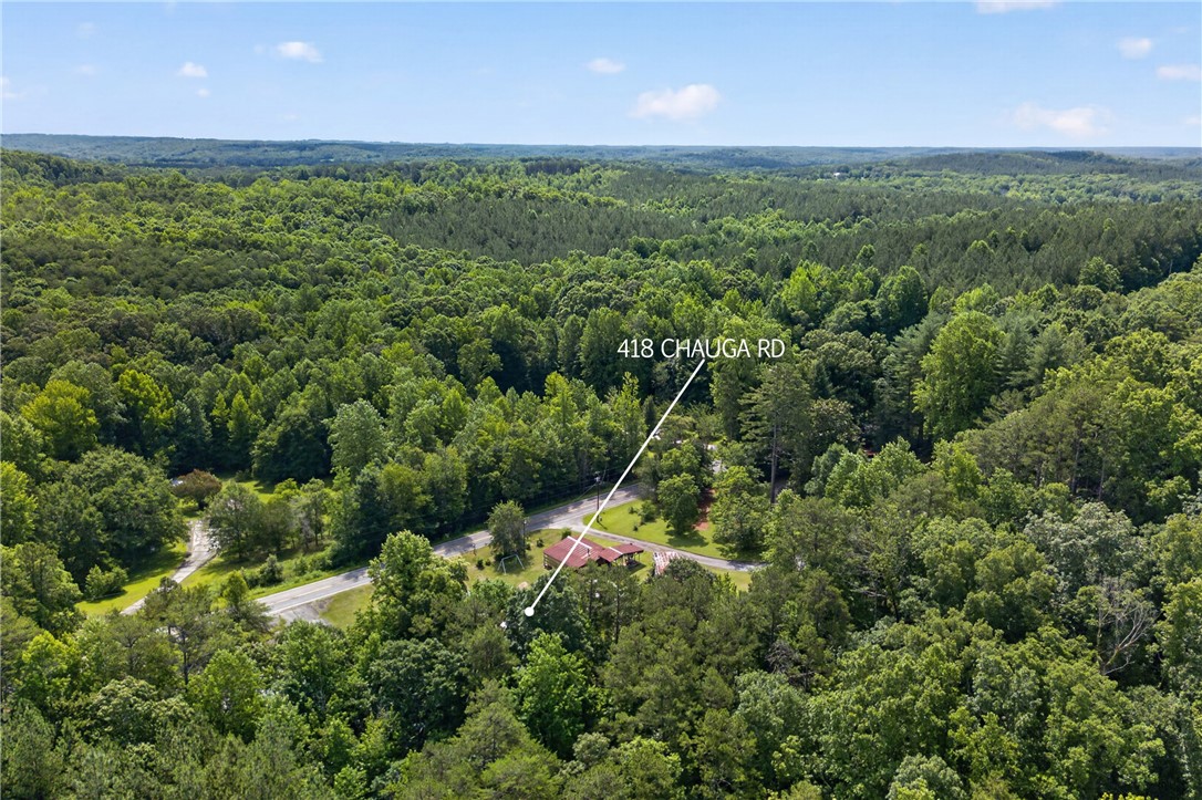 418 Chauga Road Westminster, SC 29693 - Photo 34 of 38 An aerial perspective reveals a serene, wooded landscape with a single road traversing through the verdant expanse.