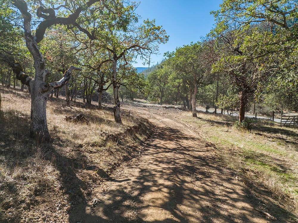 165 Hogan Road Jacksonville, OR 97530 - Photo 42 of 56 41