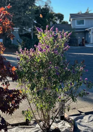 $825,000 | 212 Eaton Court, Benicia, CA 94510