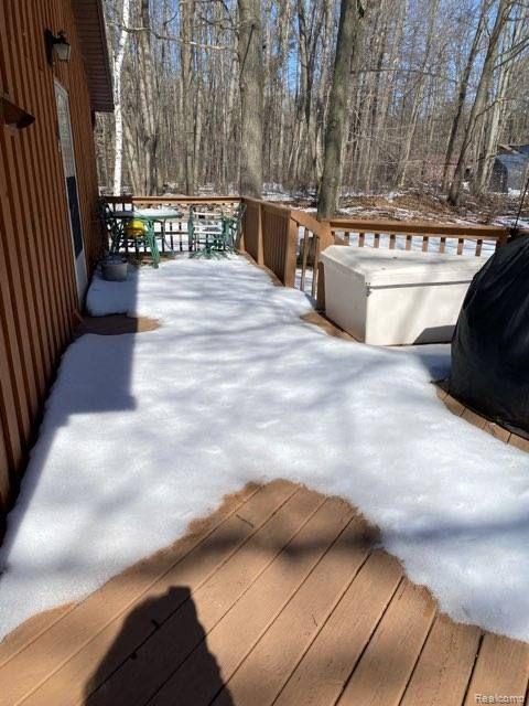 3099 North Branch Road North Branch, MI 48461 - Photo 9 of 16