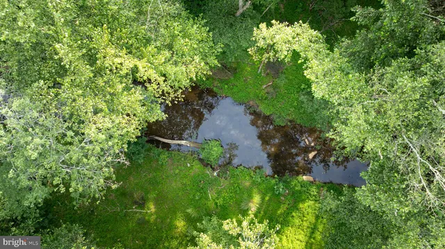 a view of a garden with a lake