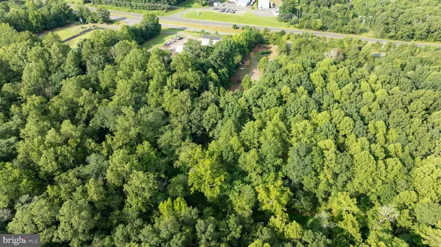 a view of a lush green forest with trees and houses