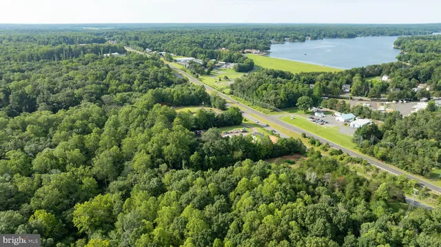 a view of a green field with lots of bushes
