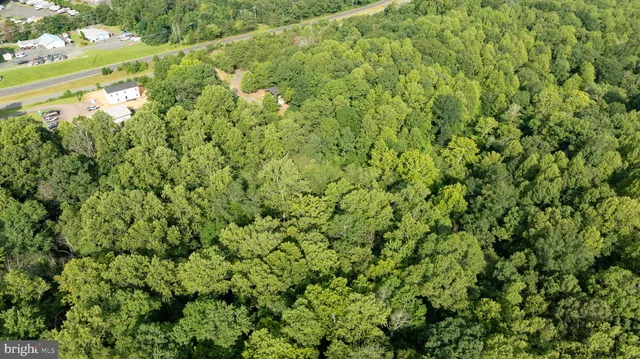 a view of a city with lush green forest