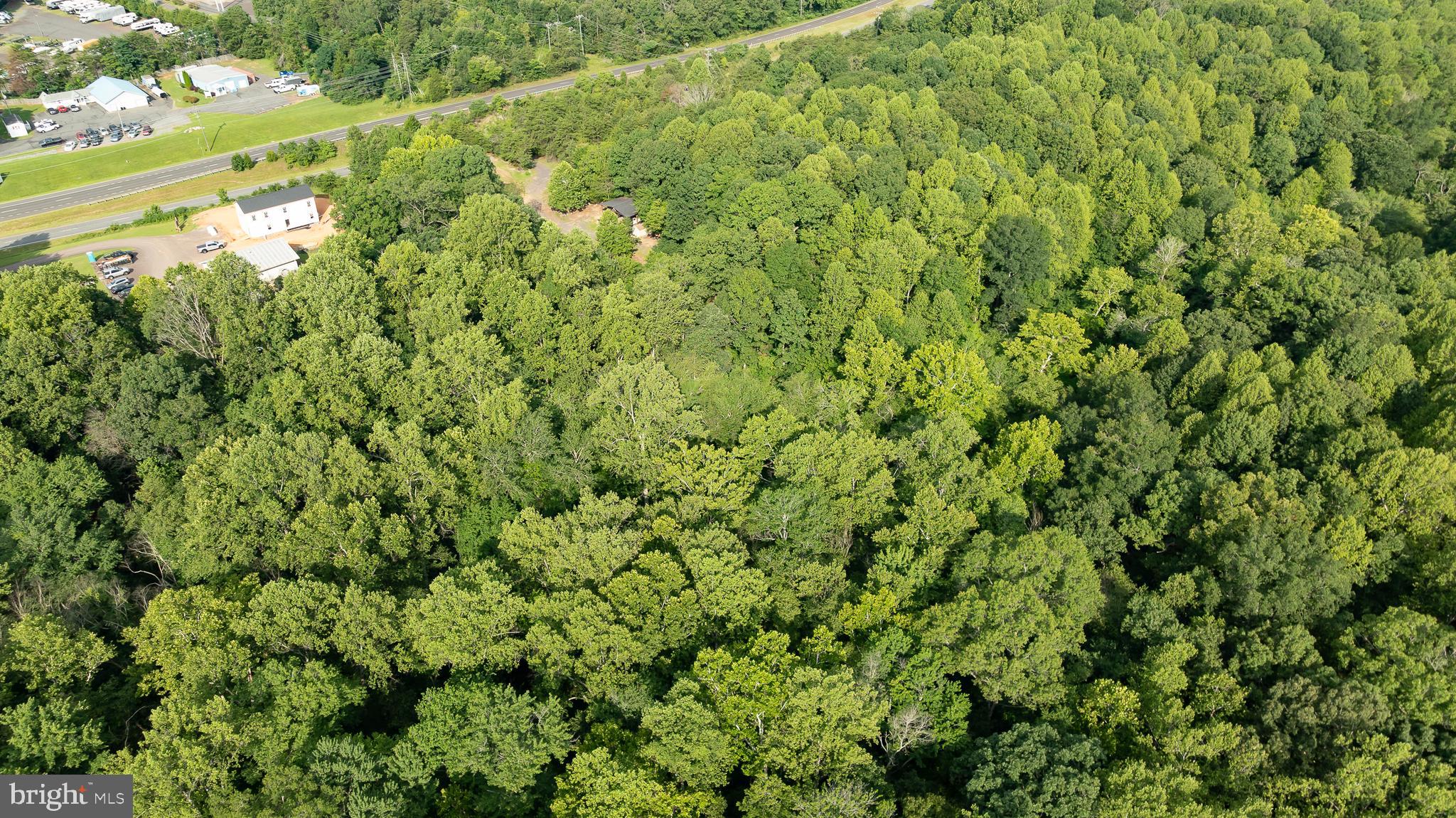 Germanna Highway Locust Grove, VA 22508 - Photo 24 of 26 a view of a large yard with plants and large trees