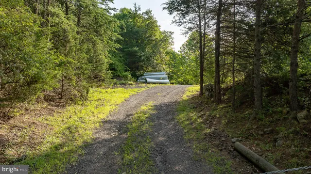 a view of a backyard with chairs and a tree