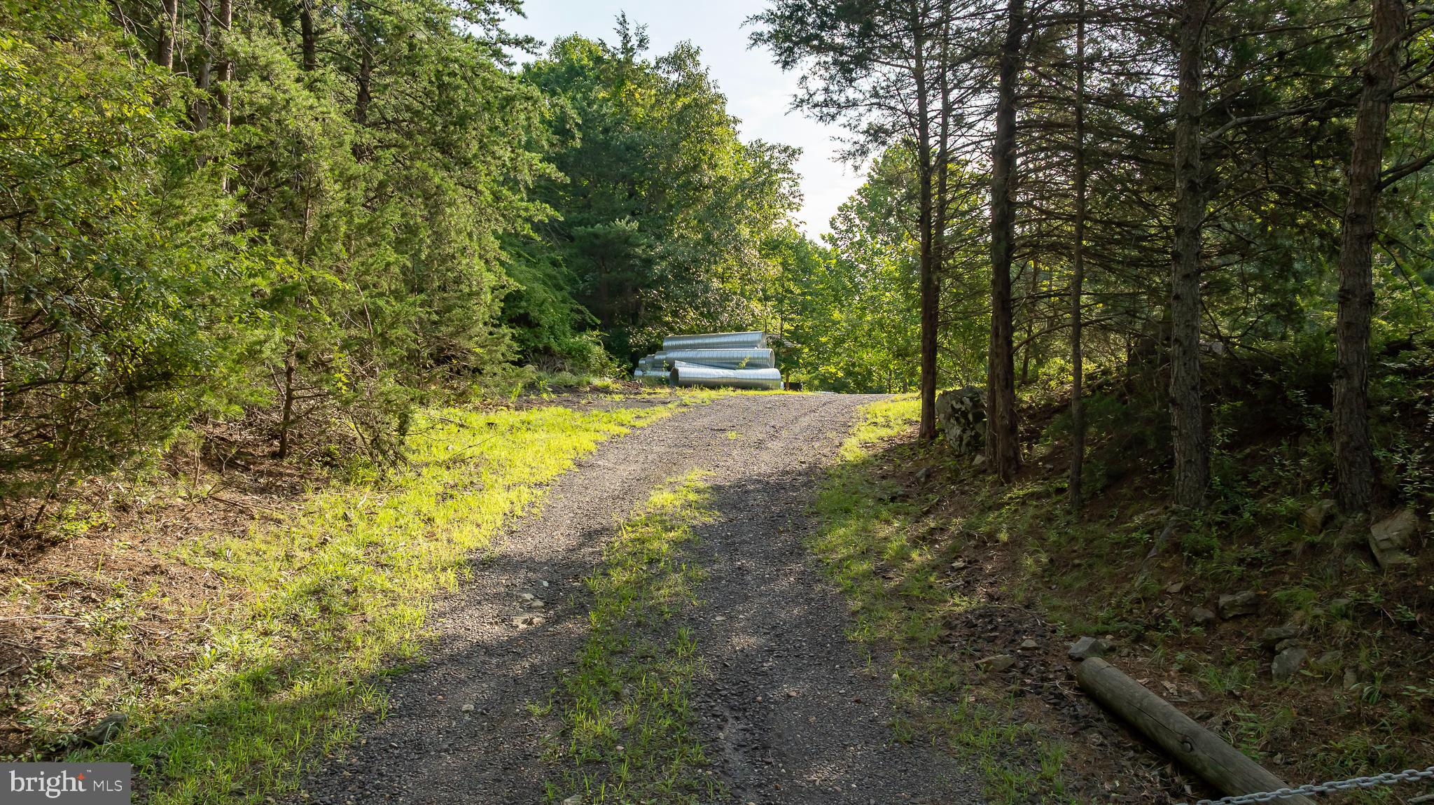 Germanna Highway Locust Grove, VA 22508 - Photo 5 of 26 a view of a yard with trees