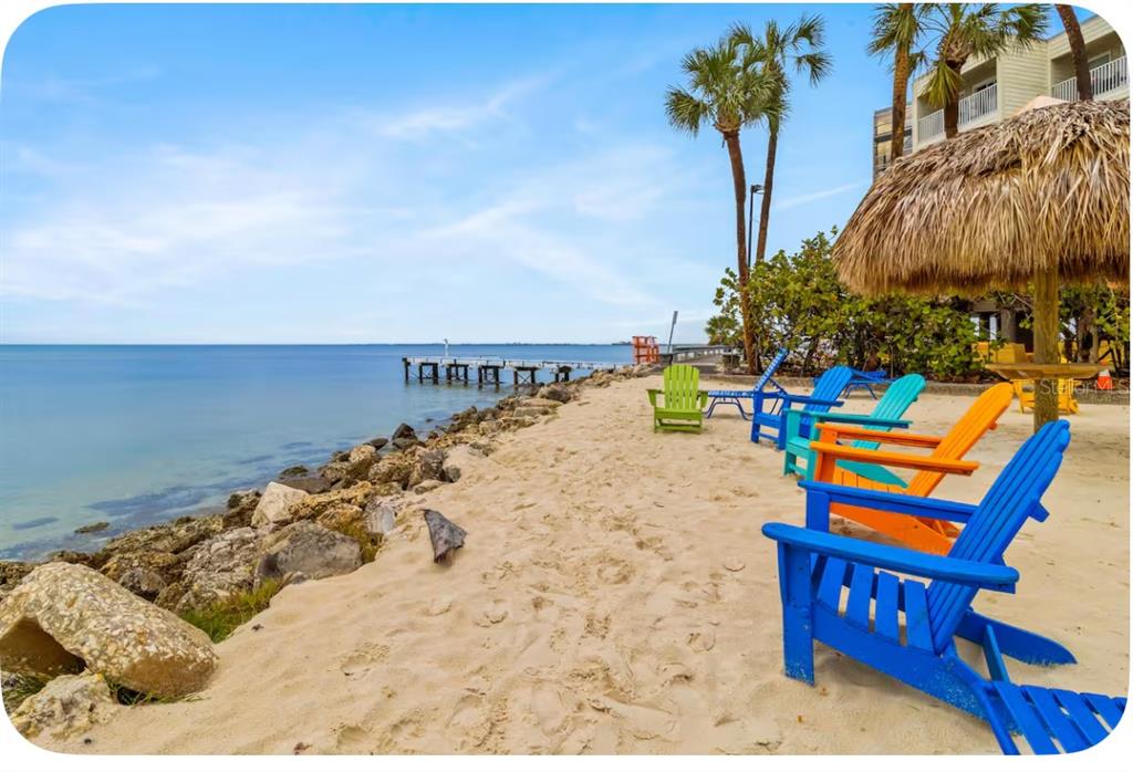 2506 North Rocky Point Drive, Unit 209 Tampa, FL 33607 - Photo 12 of 12 a view of swimming pool with lounge chair