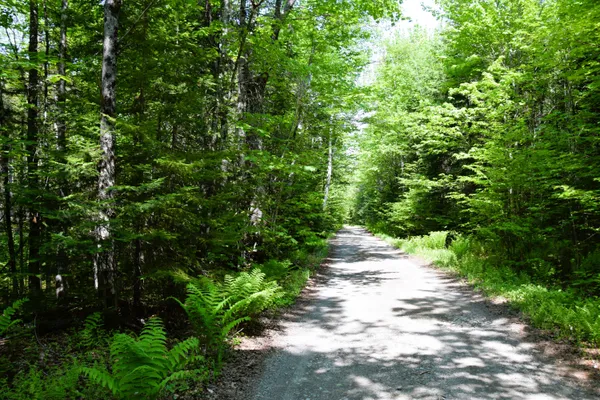 $110,000 | Ms03-l17.3 Carry Pond Road, Bingham, ME 04920