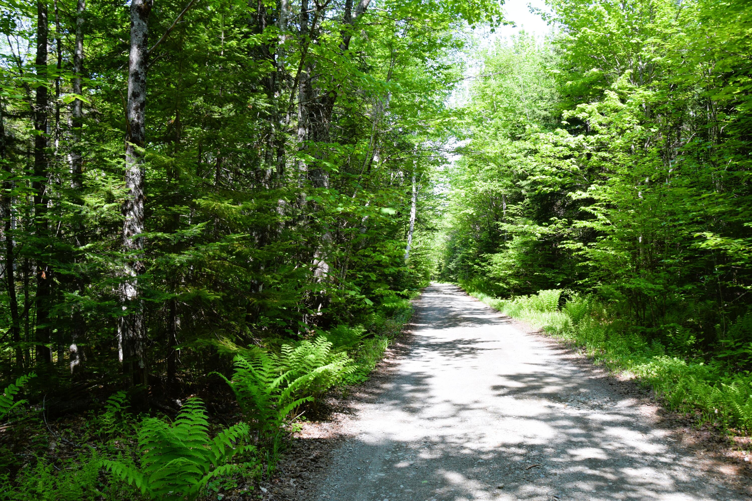 Ms03 L Ms03 L Middle Carry Pond Road Caratunk, ME 04925 - Photo 3 of 3 DSC_0016