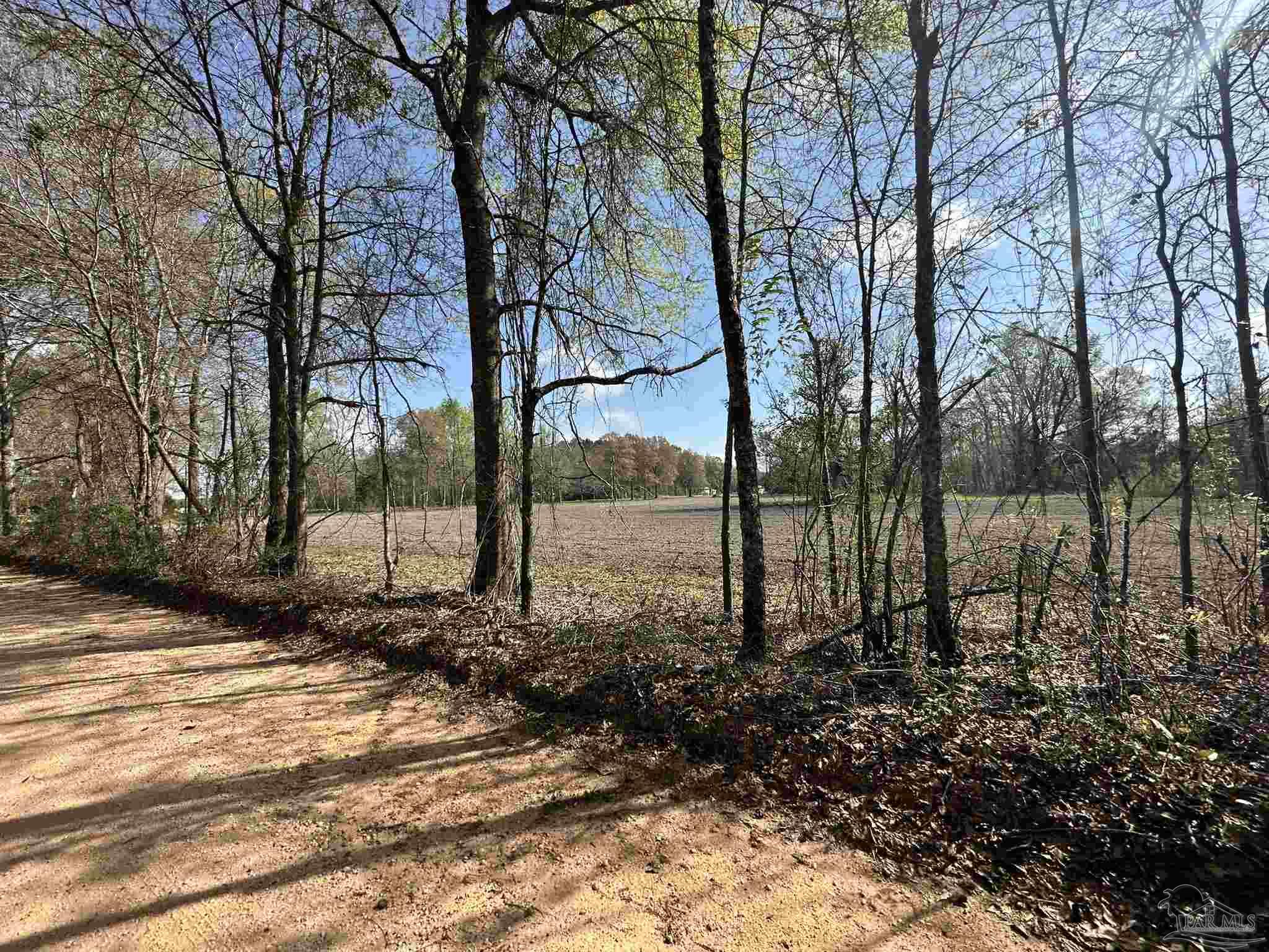 83-ac Lett Road Frisco City, AL 36445 - Photo 8 of 10
