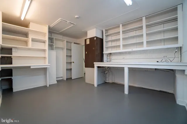 a view of a backyard with potted plants and large tree