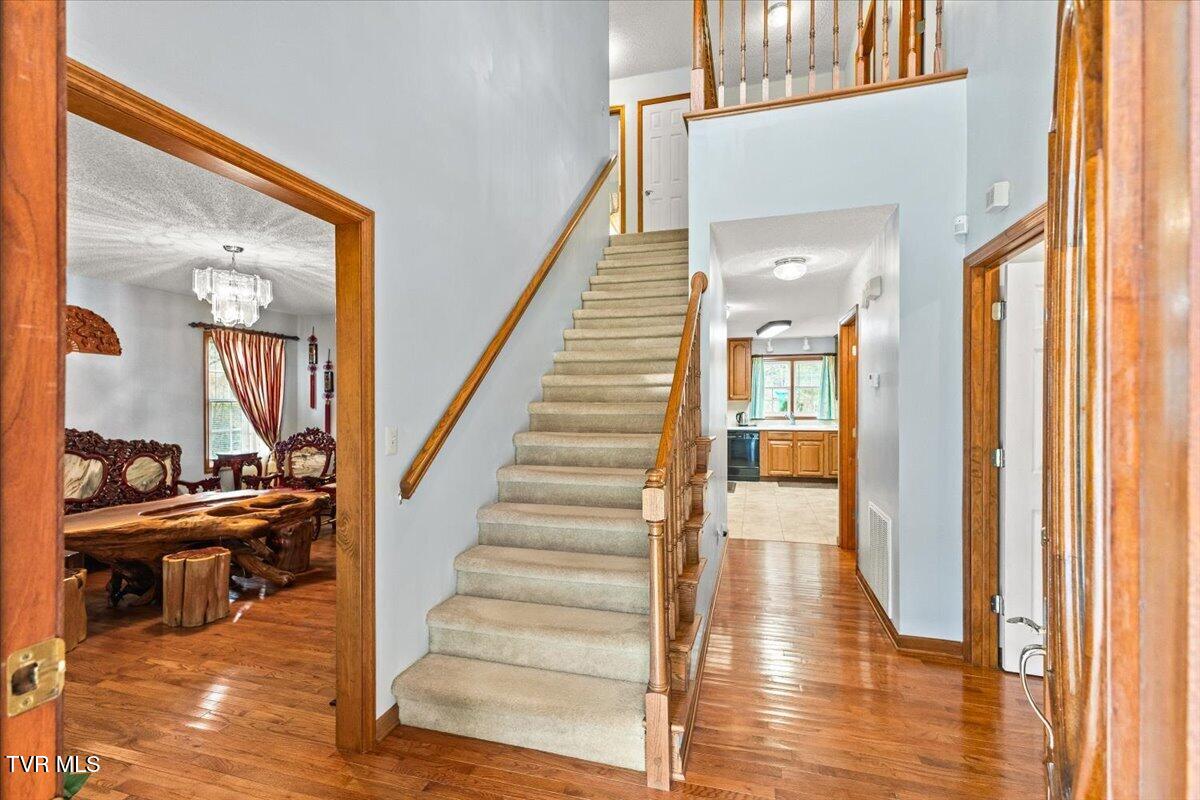 515 Scioto Road Unicoi, TN 37692 - Photo 16 of 55 515 Scioto Rd.