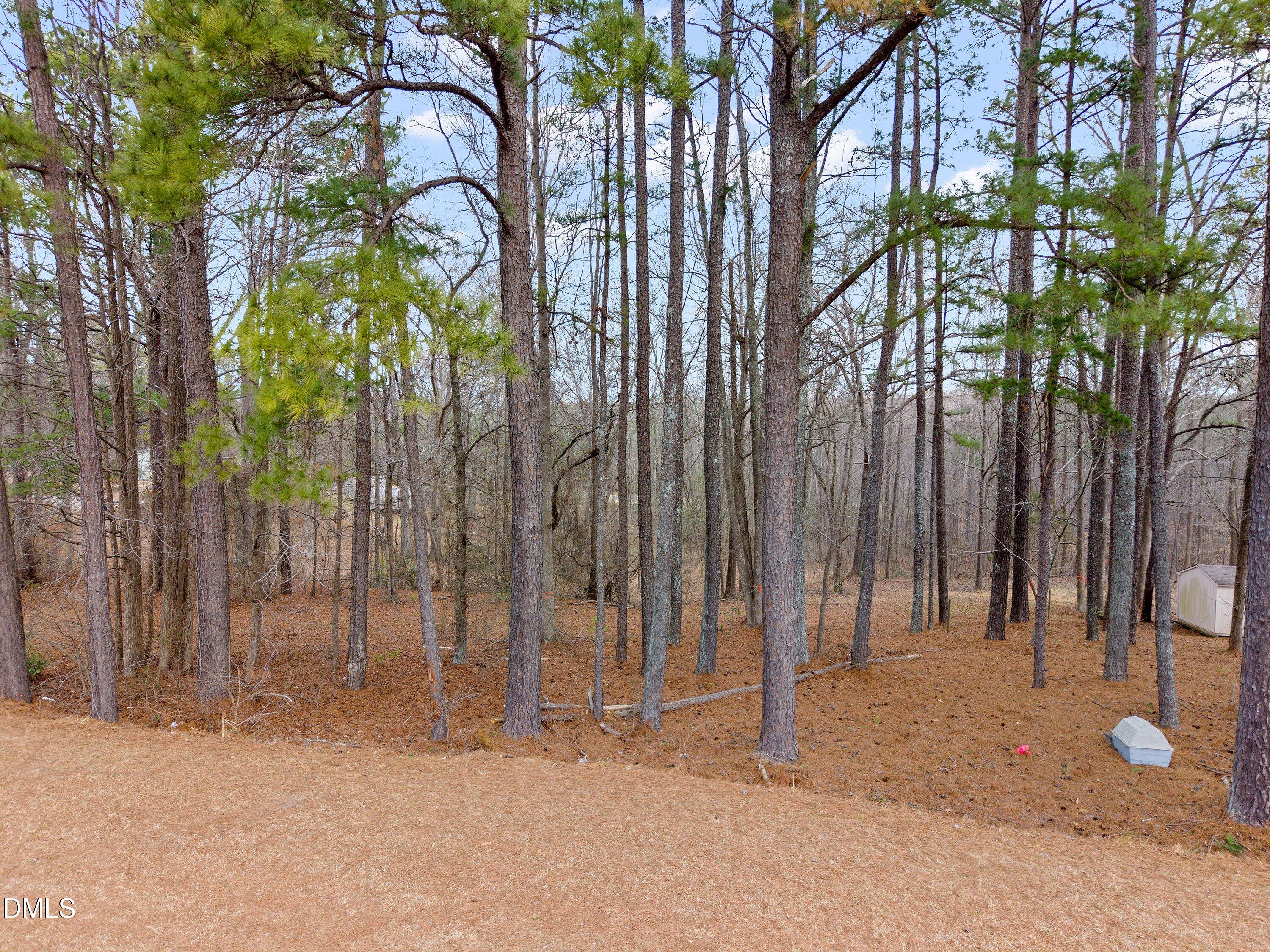 10853 Old Stage Road Raleigh, NC 27603 - Photo 3 of 5 3-10853 Old Stage Rd