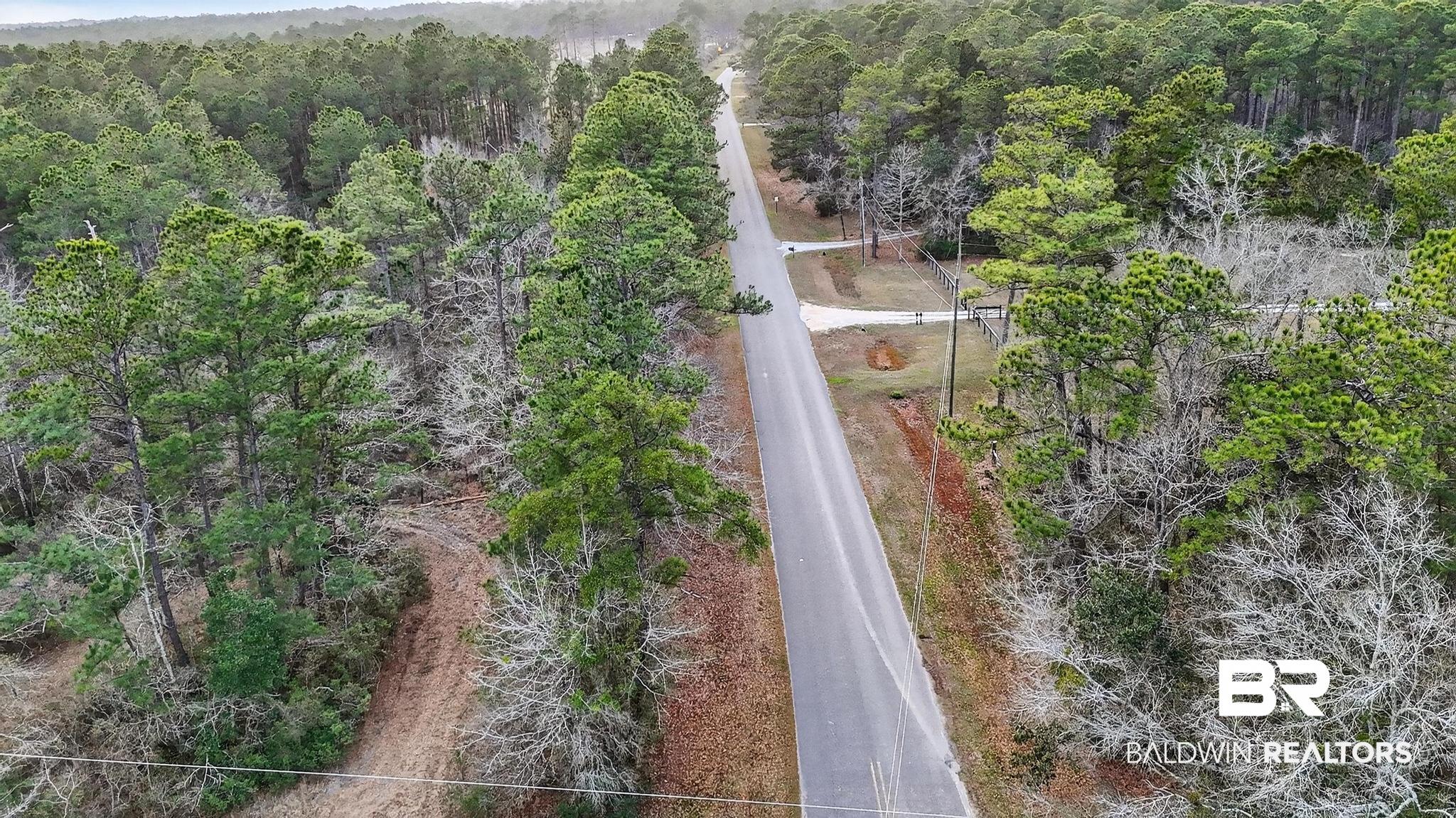 0 Hemley Road Bayou La Batre, AL 36509 - Photo 6 of 28