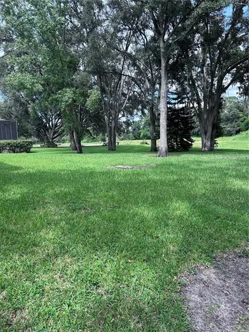 a view of green field with trees
