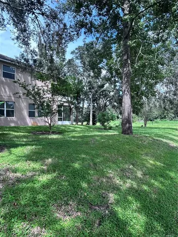 a view of a park with large trees
